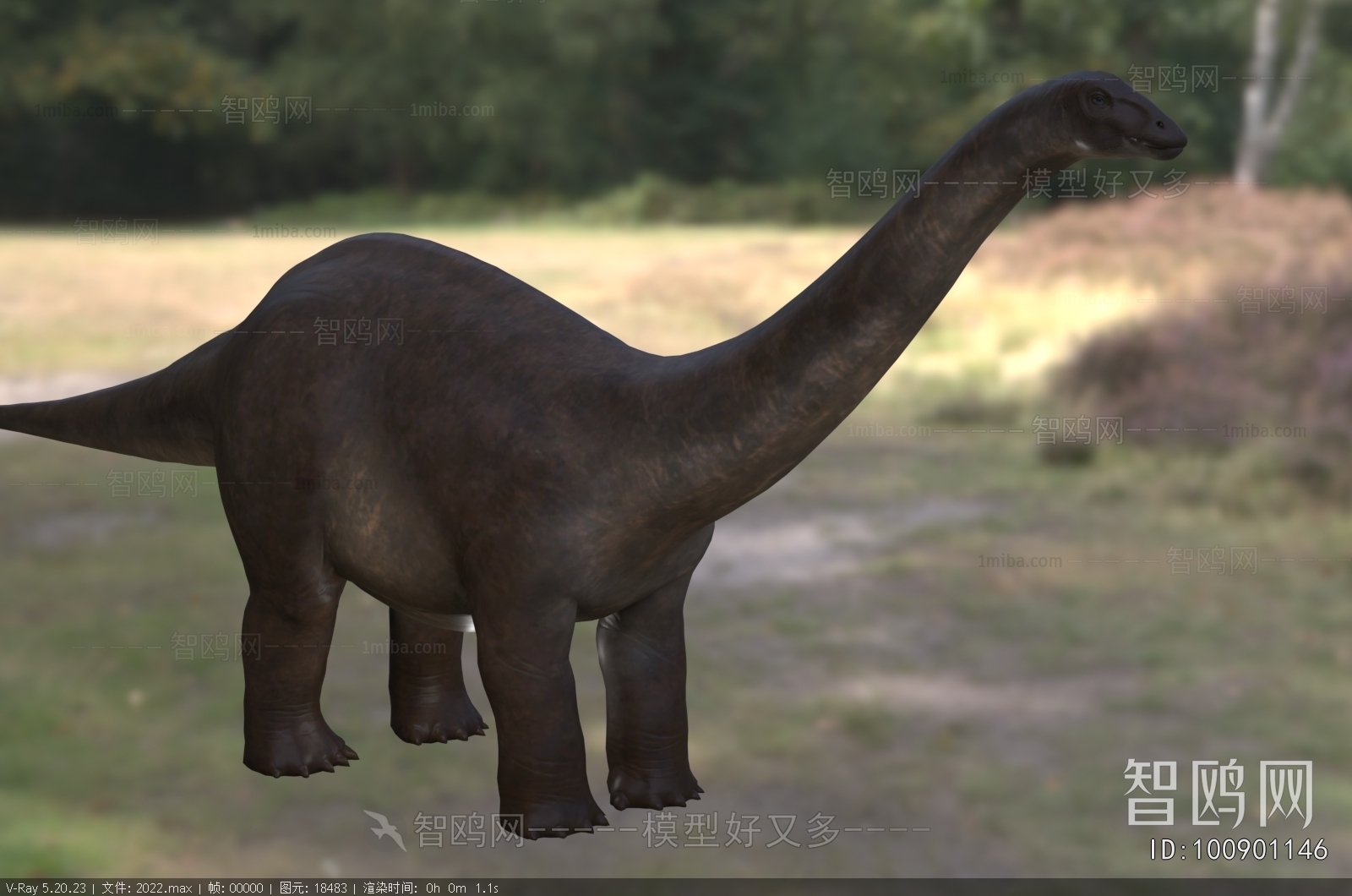 Modern Other Animals