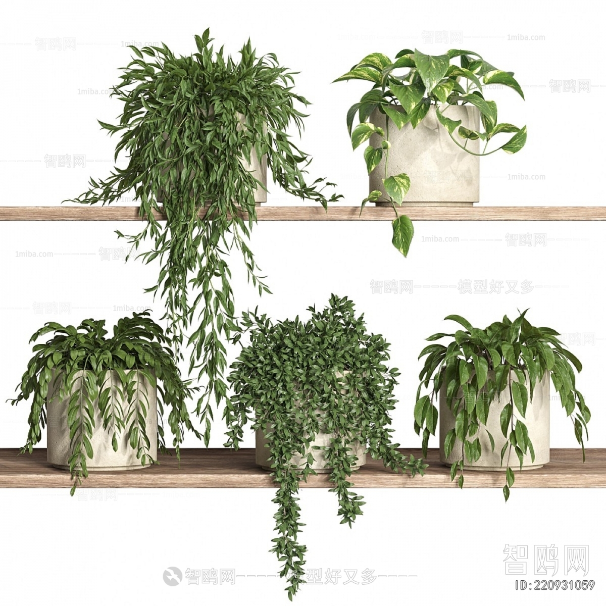 Modern Potted Green Plant