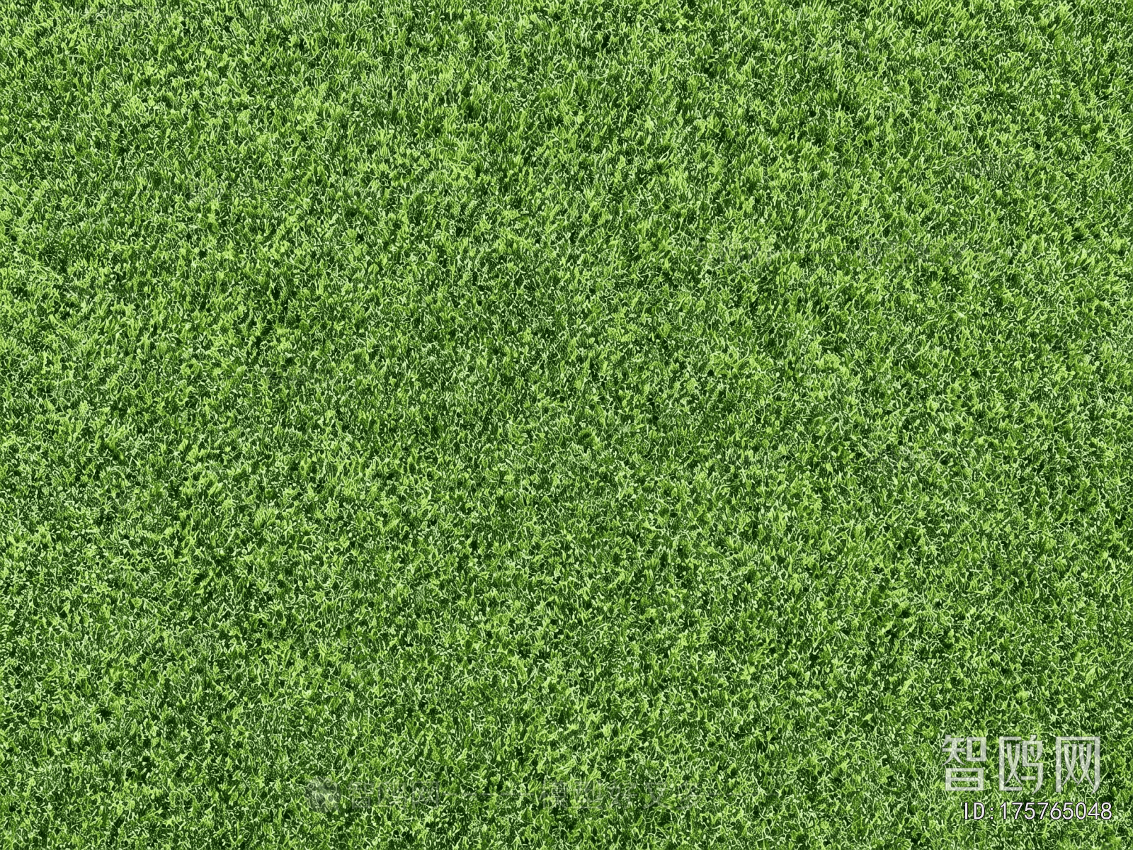 Pavement