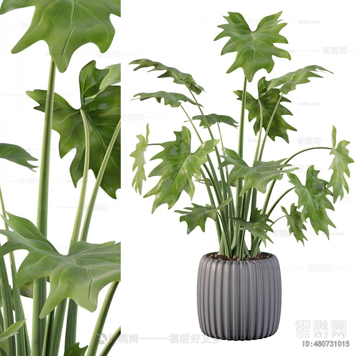 Modern Potted Green Plant