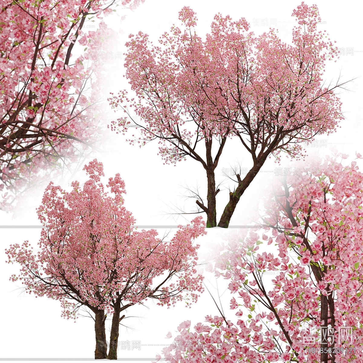 Modern Tree