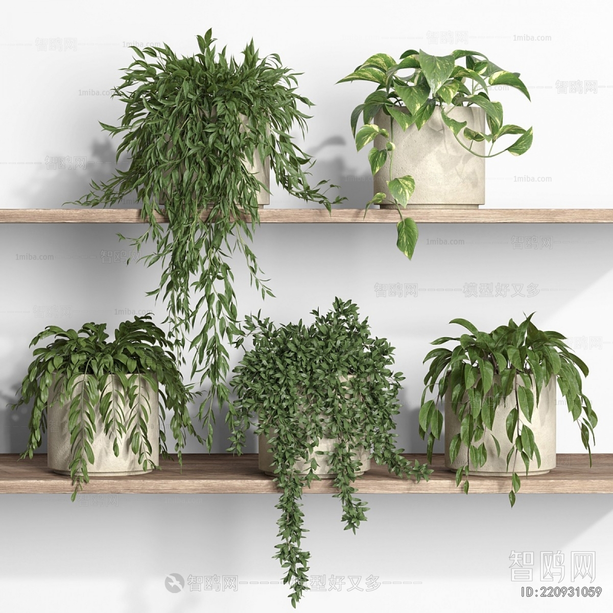Modern Potted Green Plant