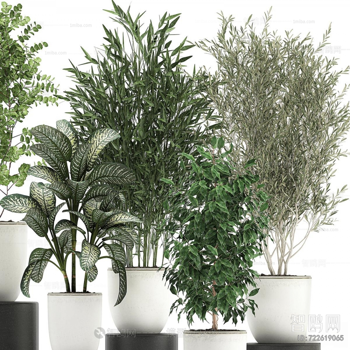 Modern Ground Green Plant Potted Plants