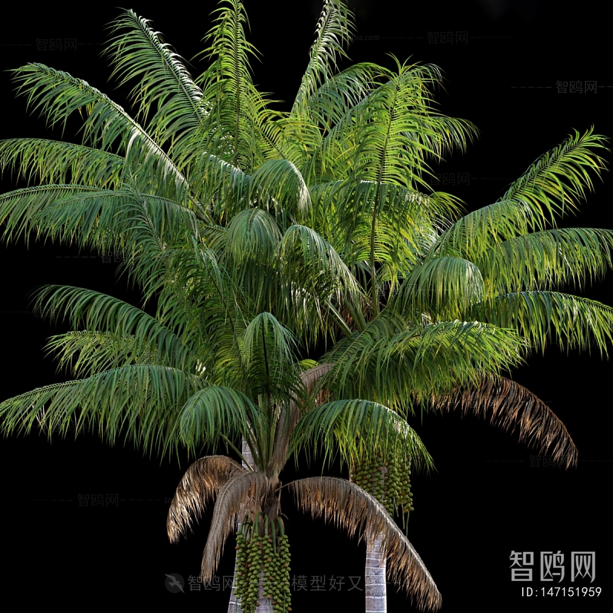 Modern Tree