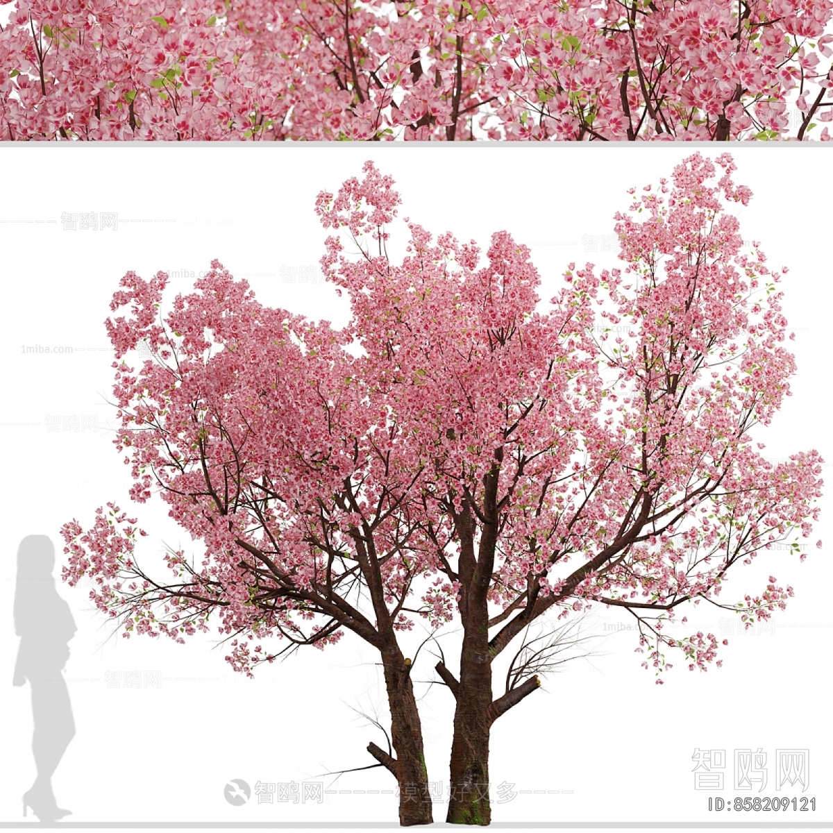 Modern Tree