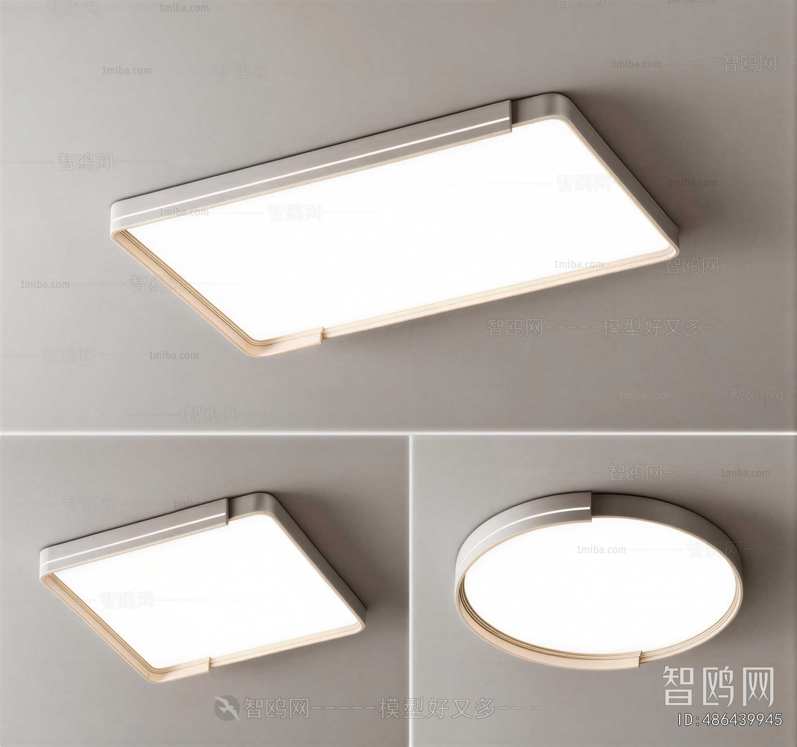 Modern Ceiling Ceiling Lamp