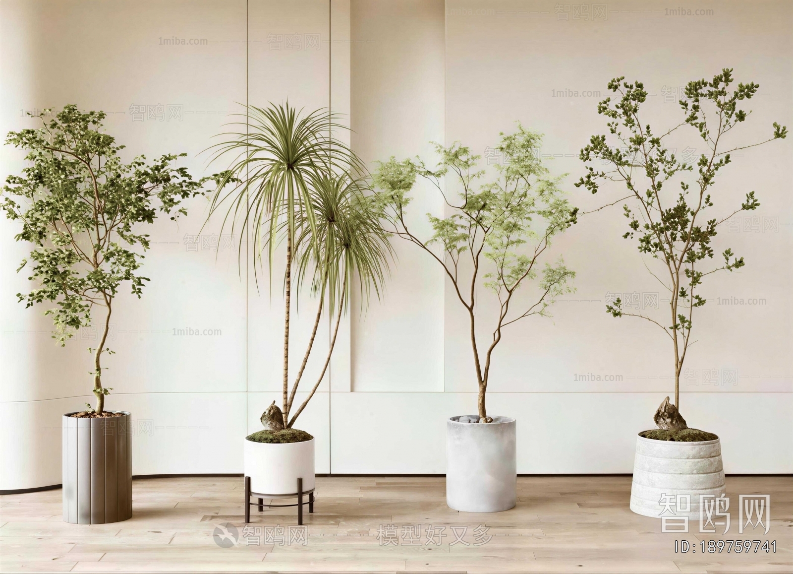Modern Ground Green Plant Potted Plants