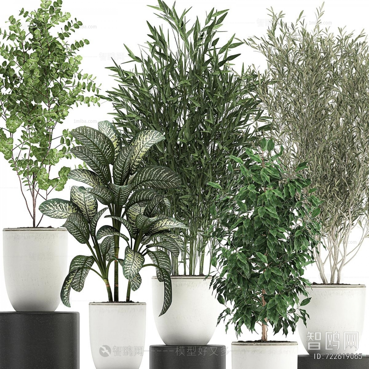 Modern Ground Green Plant Potted Plants