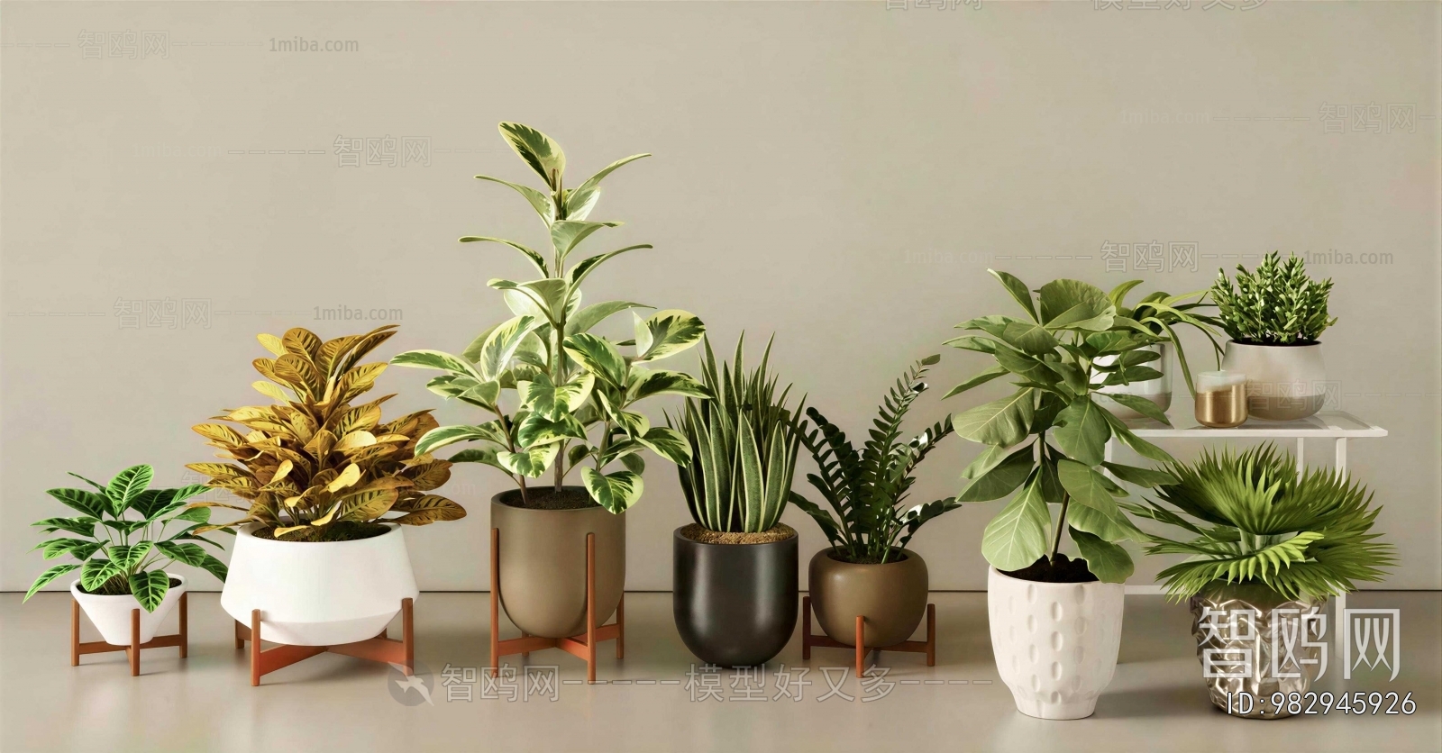 Modern Potted Green Plant