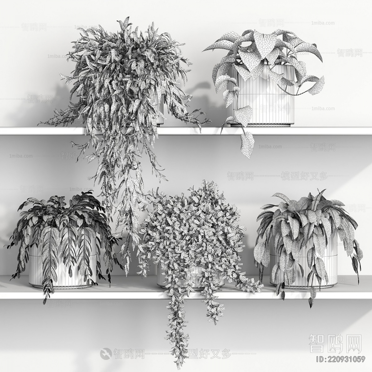 Modern Potted Green Plant