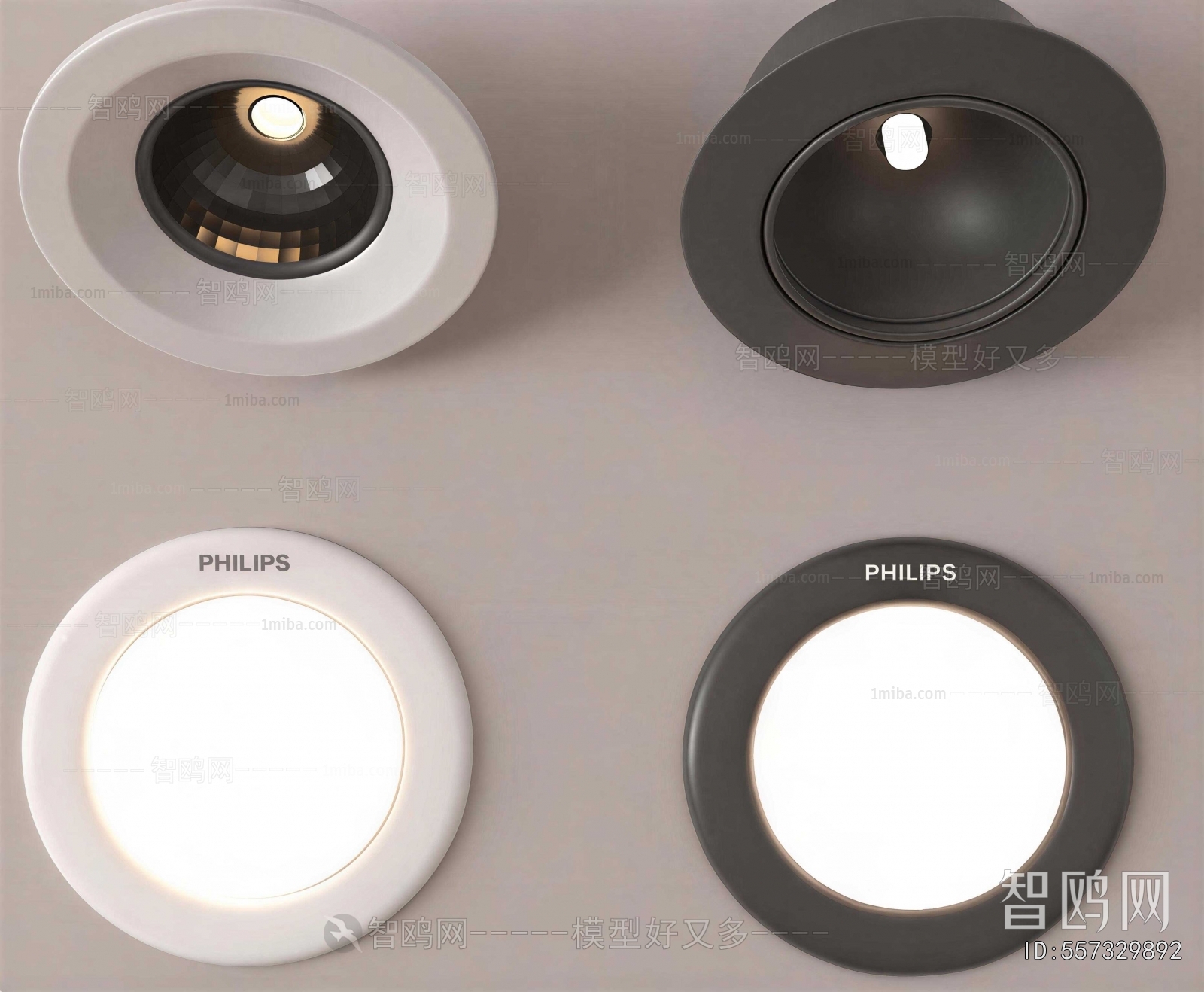 Modern Downlight Spot Light