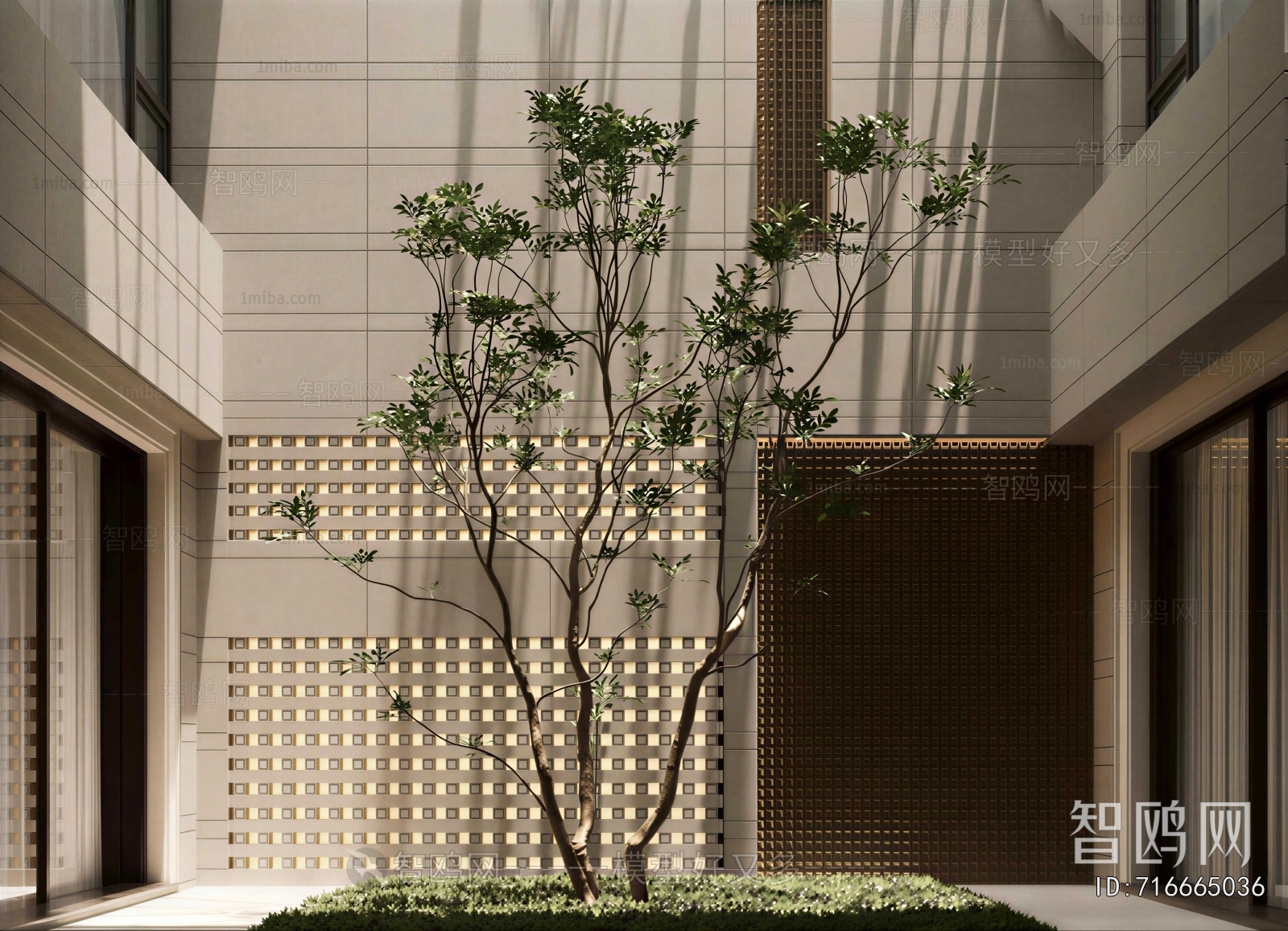 Modern Courtyard/landscape