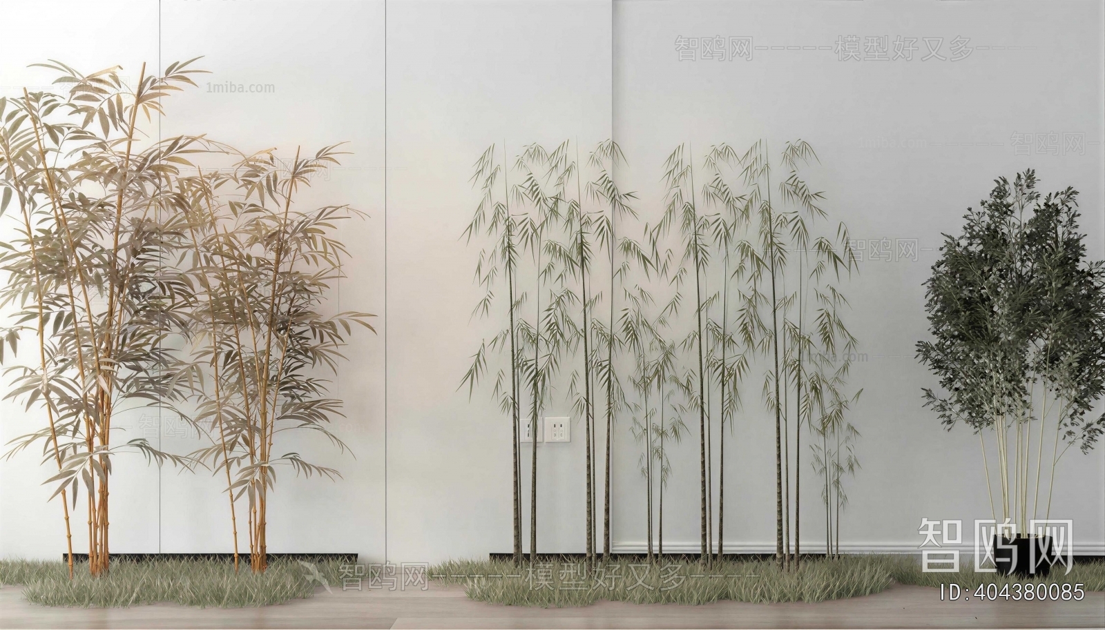 Modern Plant Landscaping