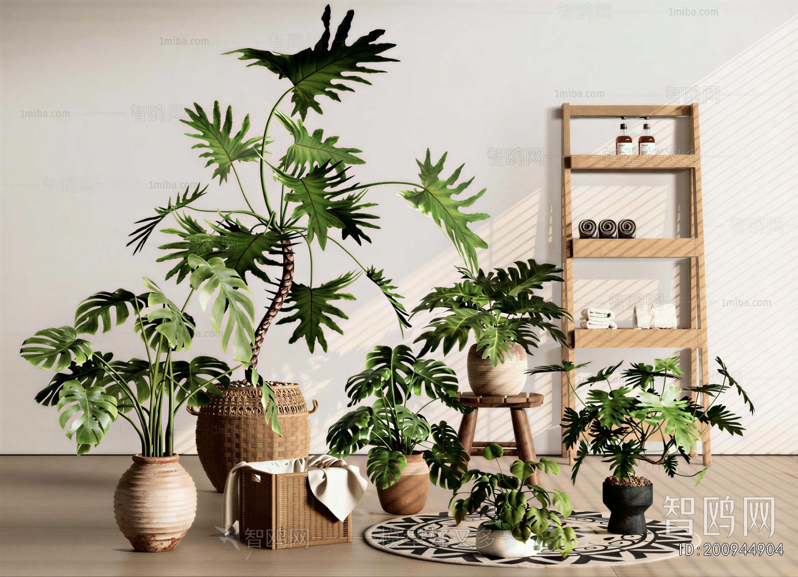 Modern Potted Green Plant