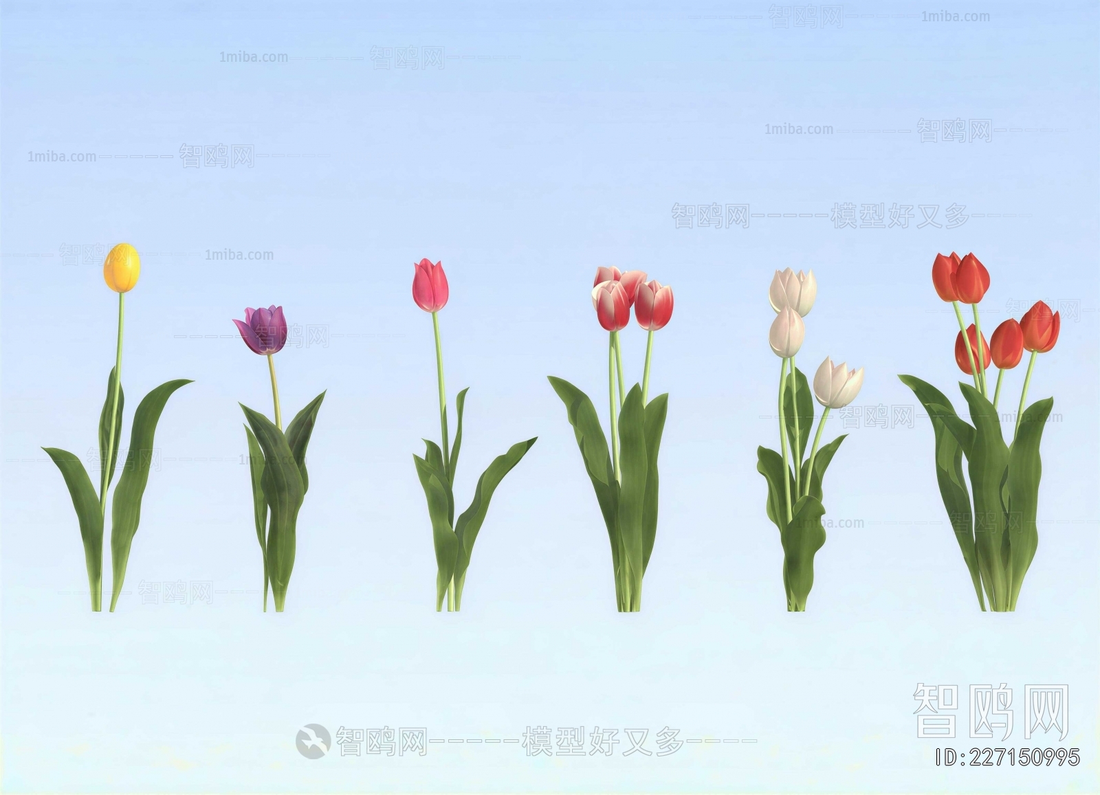 Modern Flowers And Grass