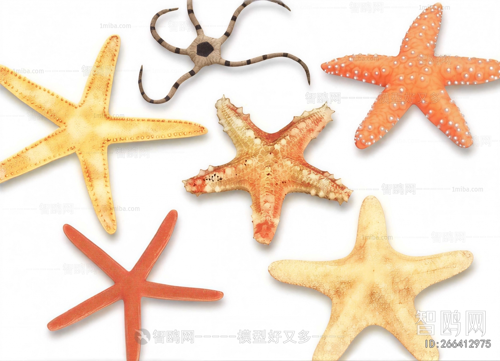 Modern Aquatic Animals