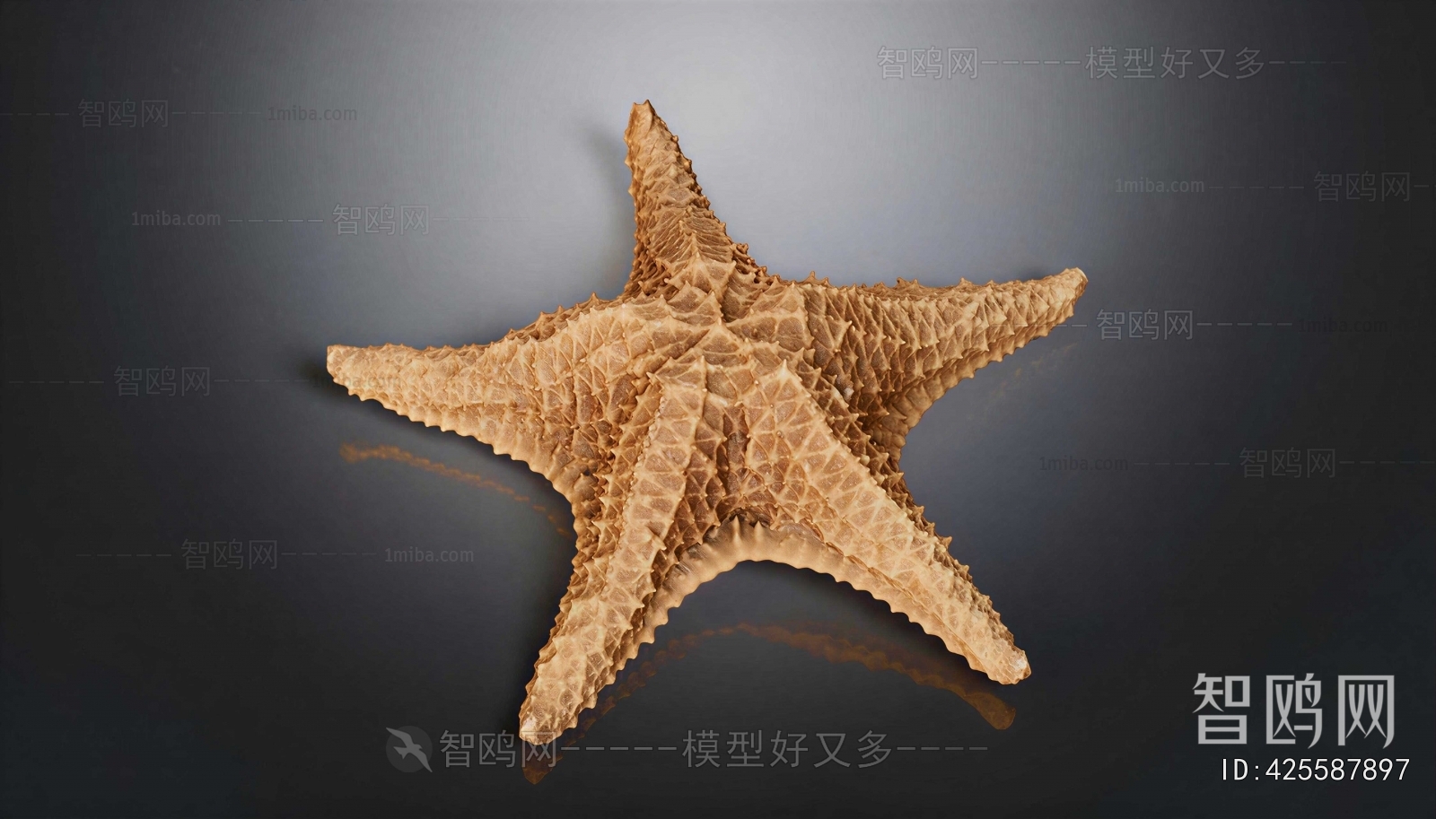 Modern Aquatic Animals