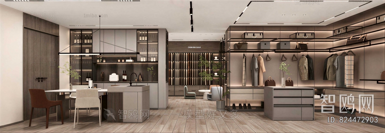 Modern Clothes Storage Area