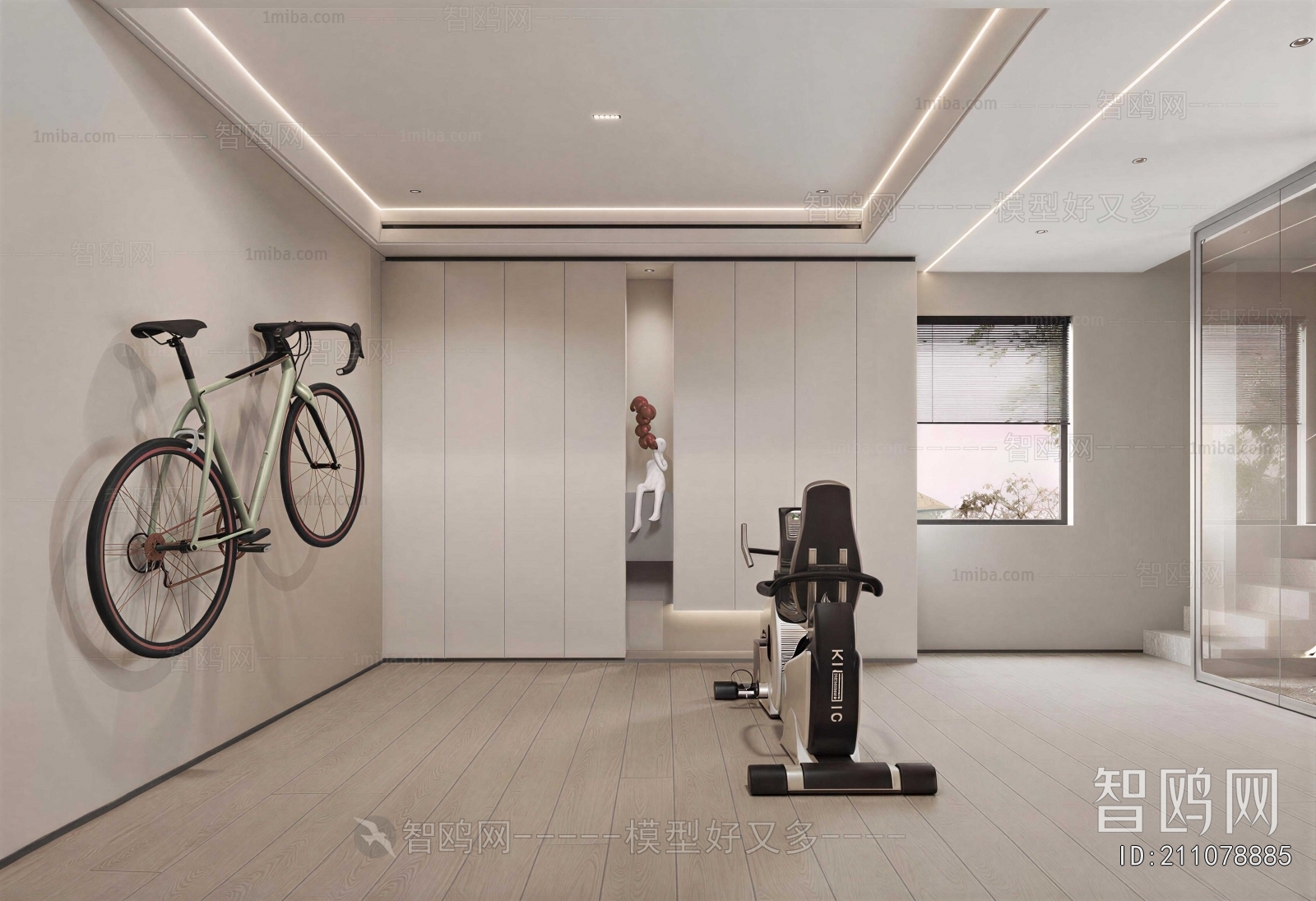 Modern Home Fitness Room