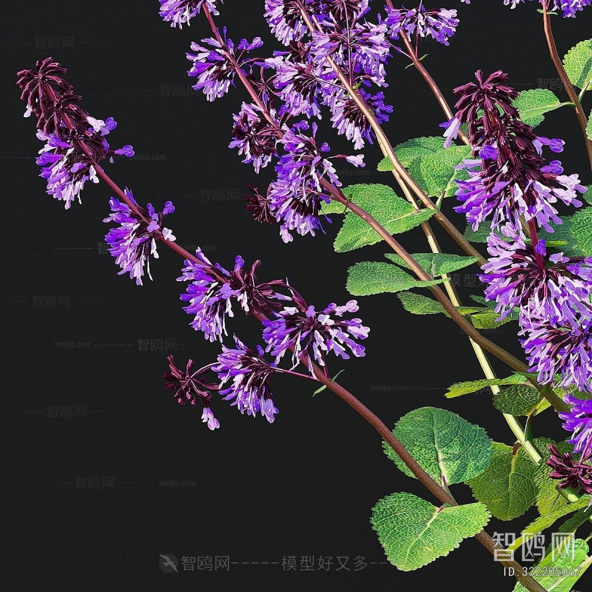 Modern Flowers And Grass