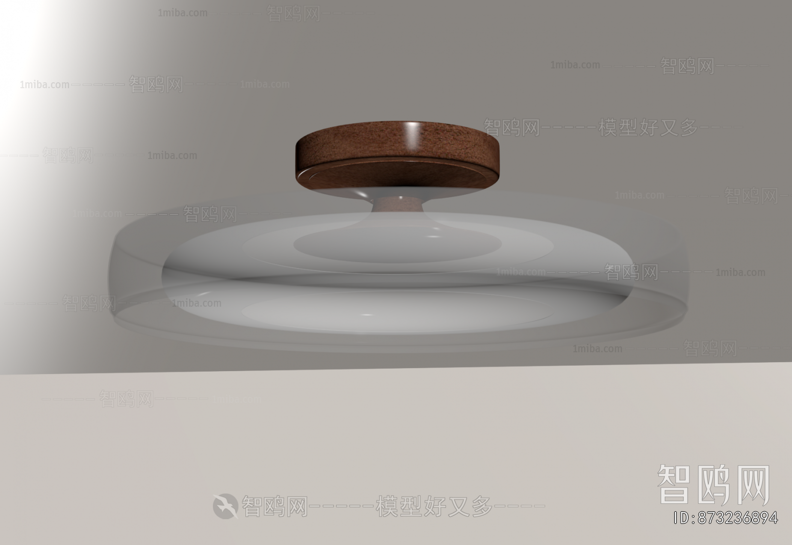Modern Ceiling Ceiling Lamp