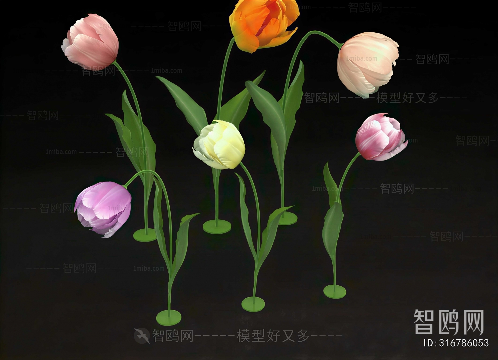 Modern Flowers And Grass
