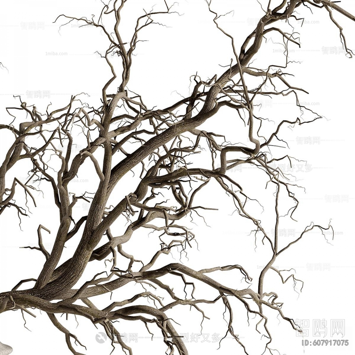 Modern Dried Branch