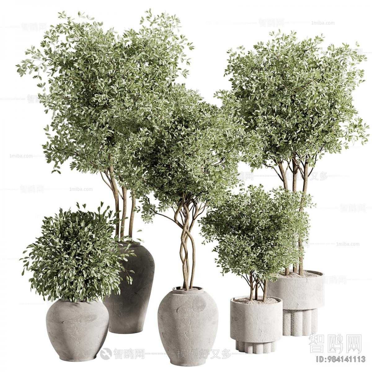 Modern Ground Green Plant Potted Plants
