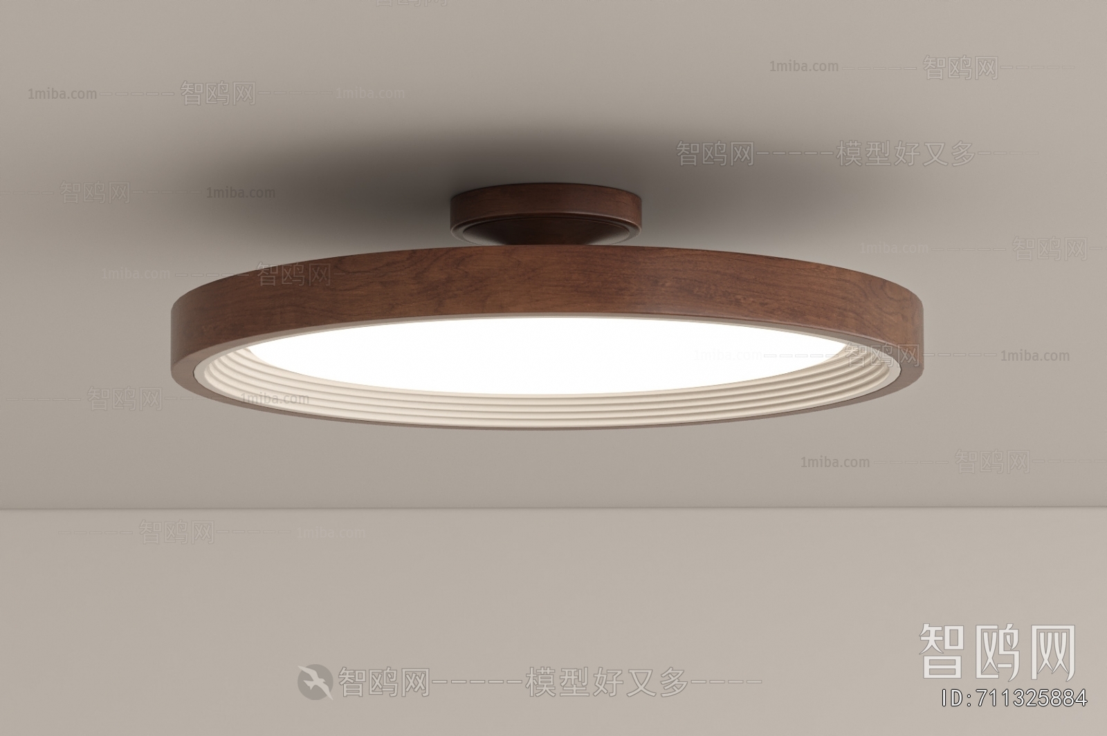 Modern Ceiling Ceiling Lamp