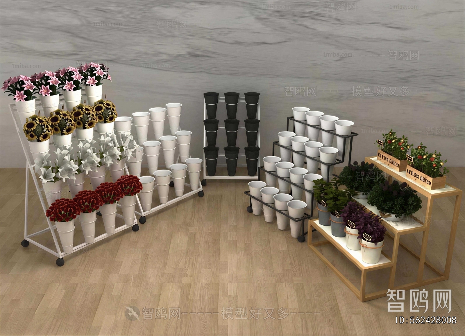 Modern Showcase