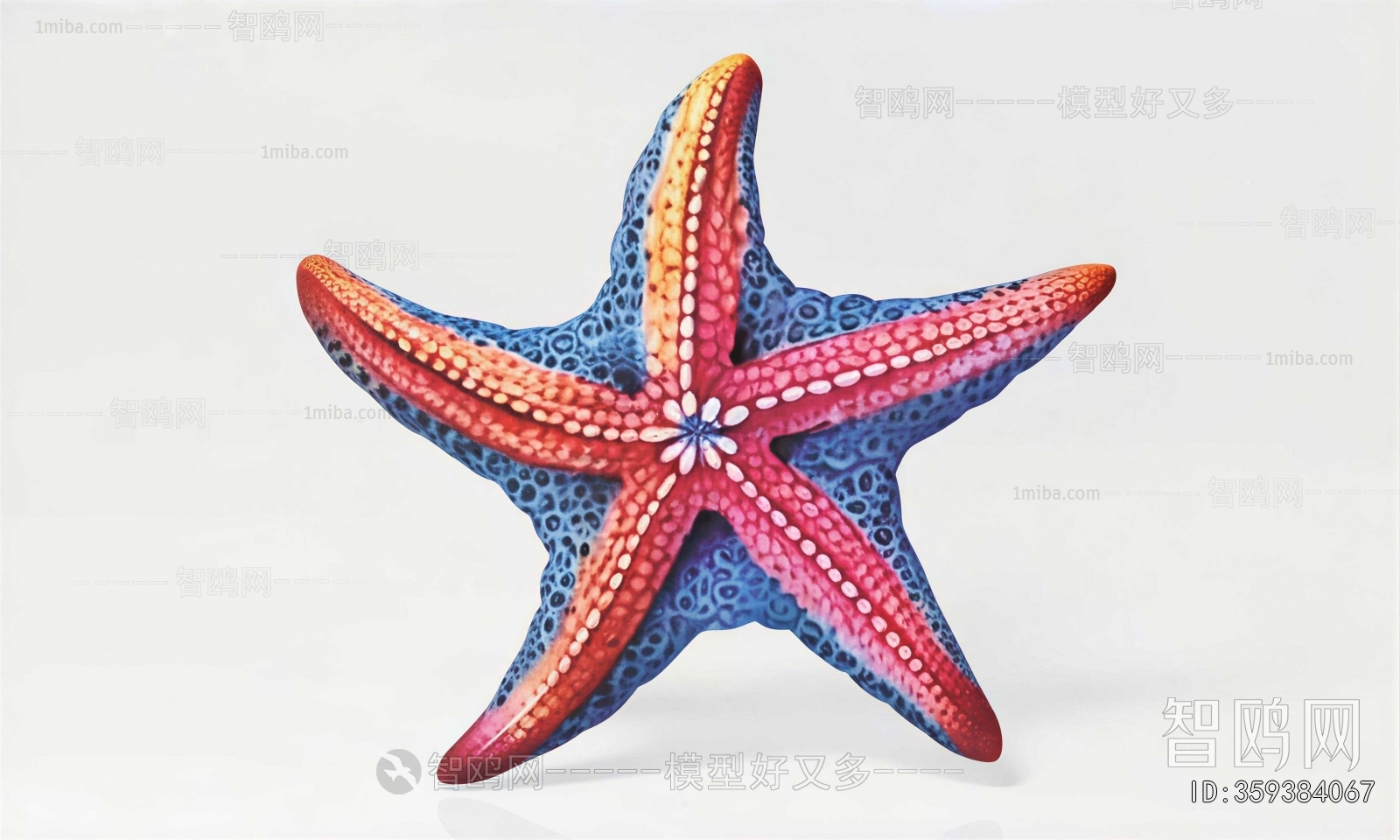 Modern Aquatic Animals
