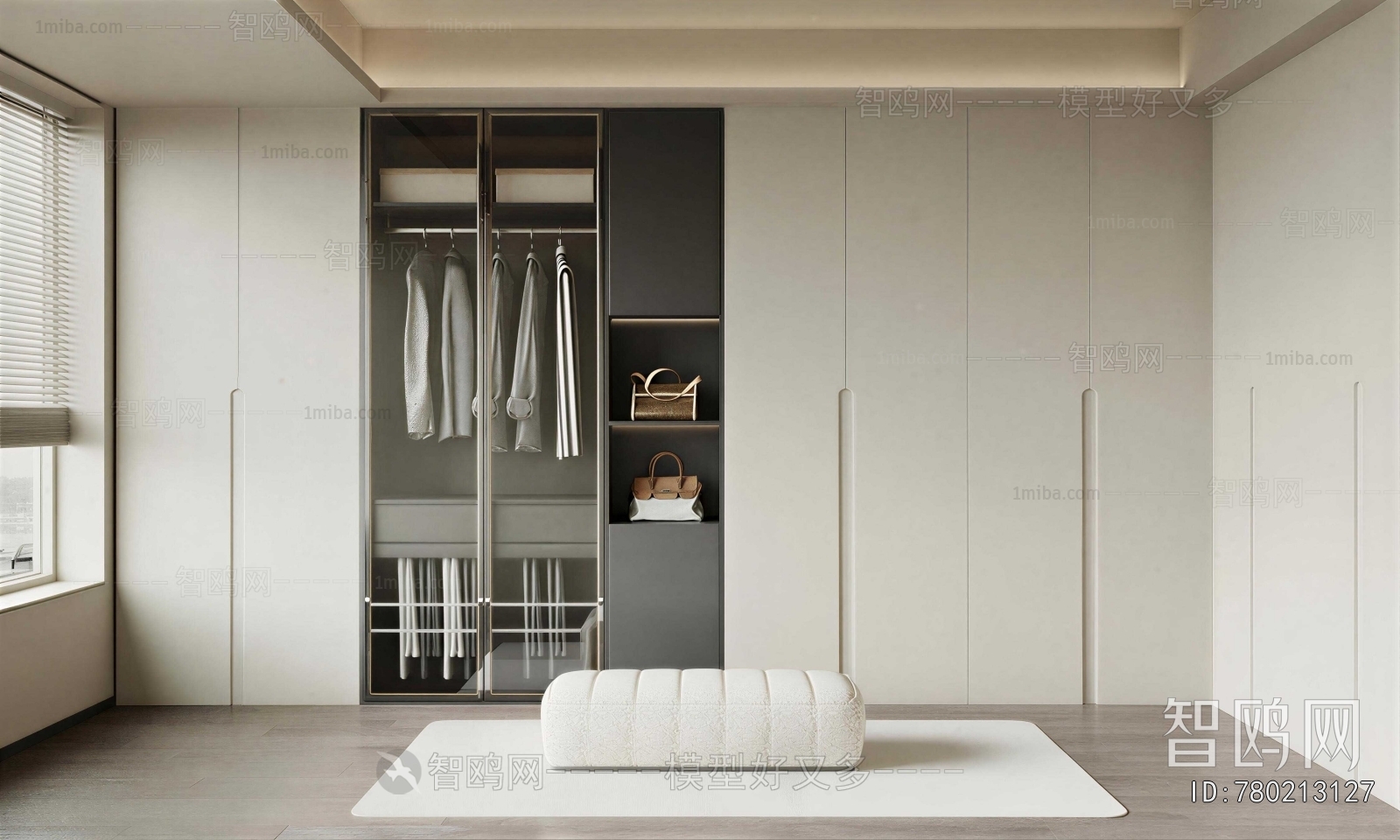 Modern Clothes Storage Area