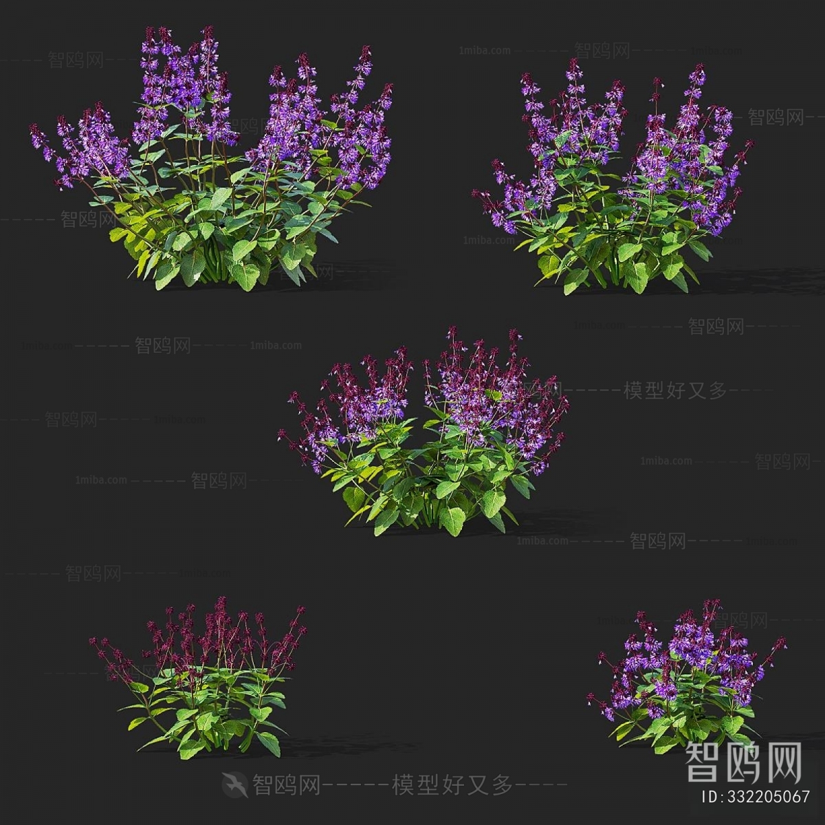Modern Flowers And Grass