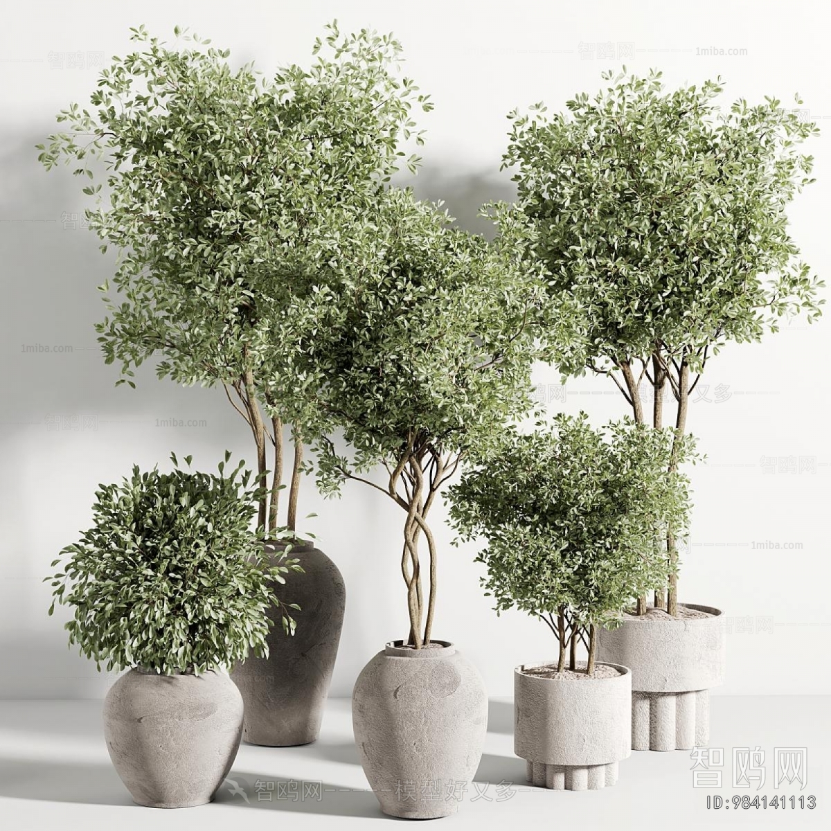 Modern Ground Green Plant Potted Plants