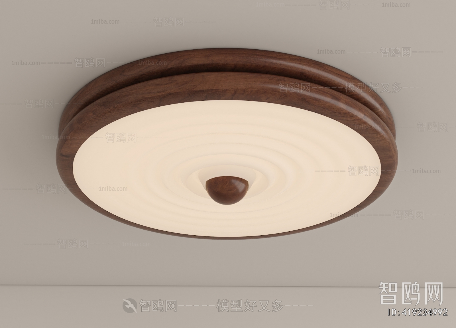 Modern Ceiling Ceiling Lamp