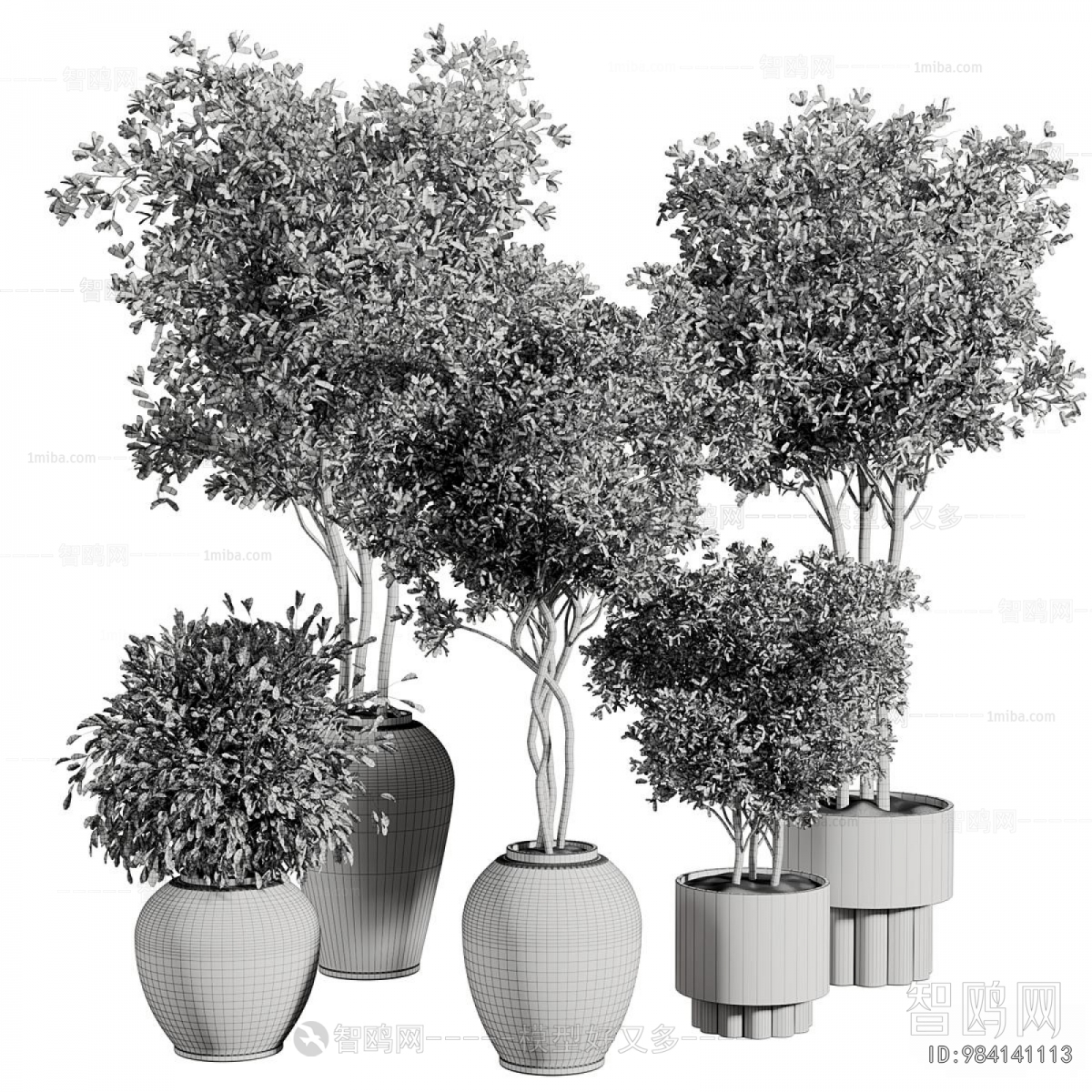 Modern Ground Green Plant Potted Plants