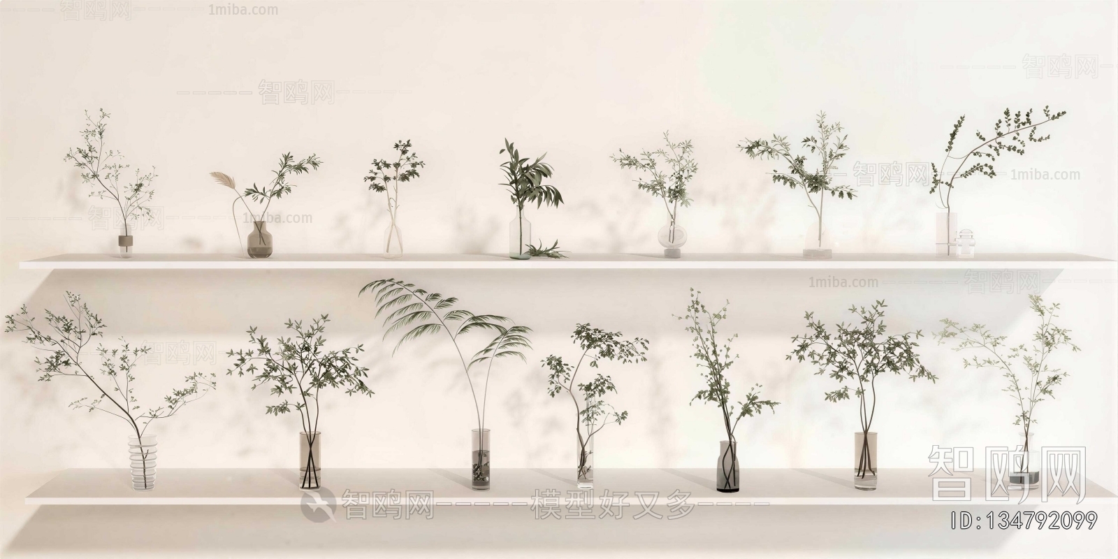 Modern Aquatic Green Plant