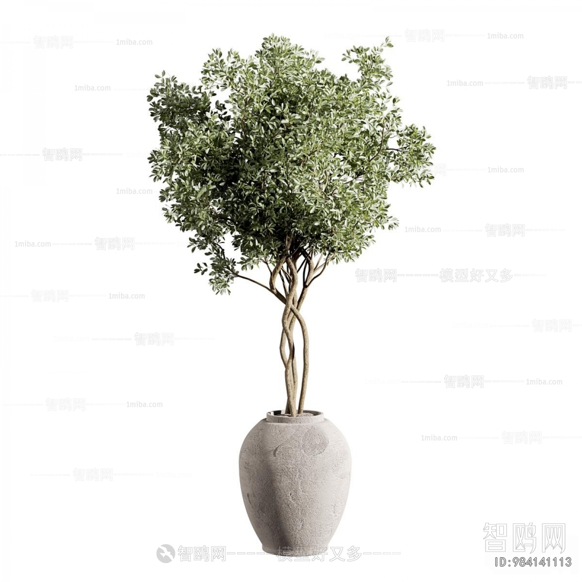 Modern Ground Green Plant Potted Plants