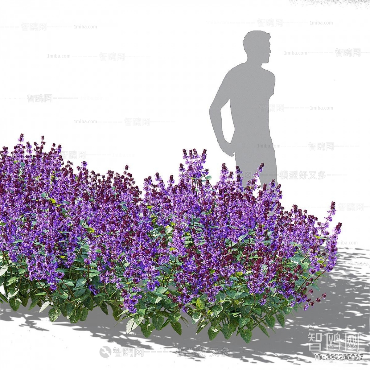 Modern Flowers And Grass