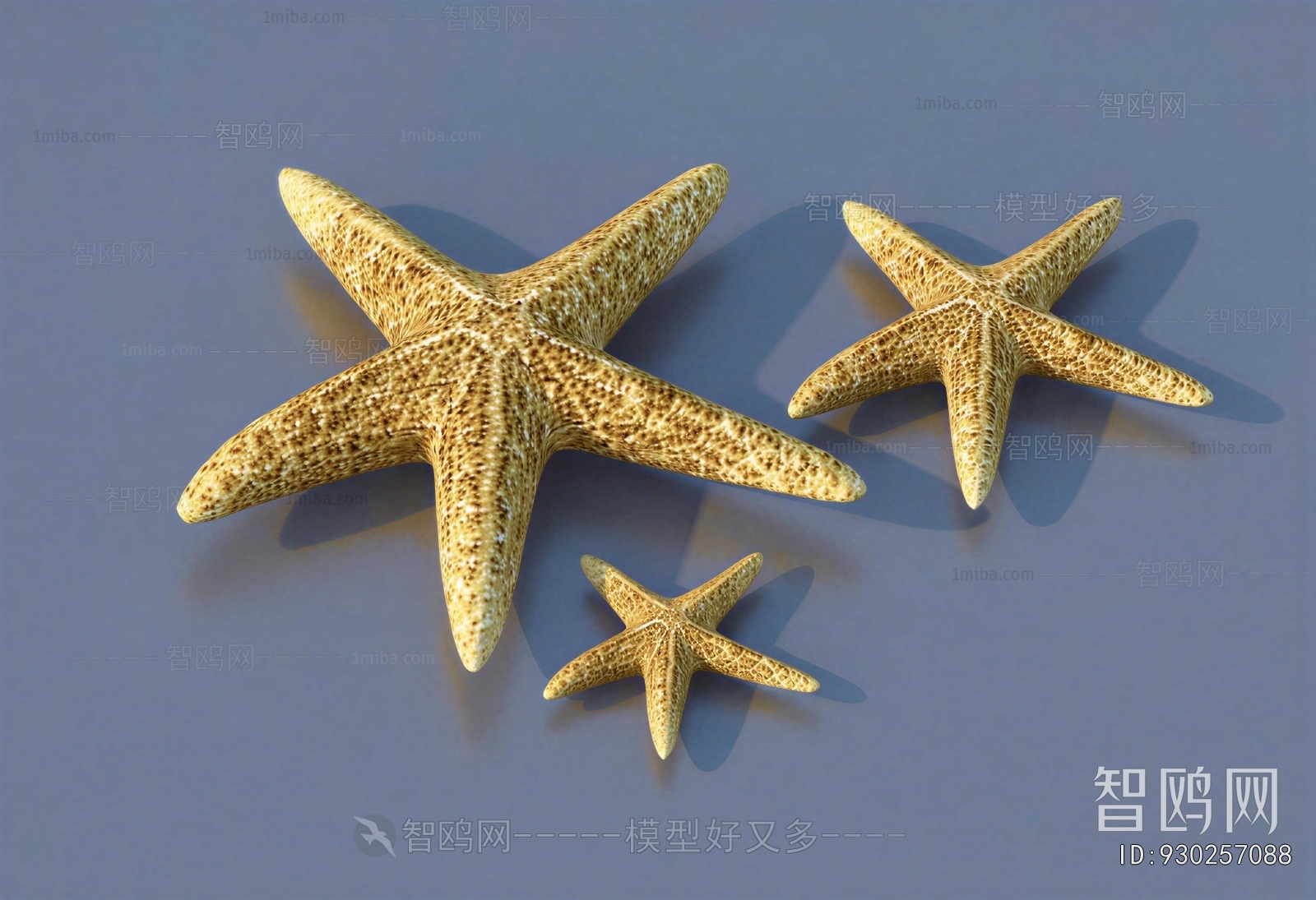 Modern Aquatic Animals