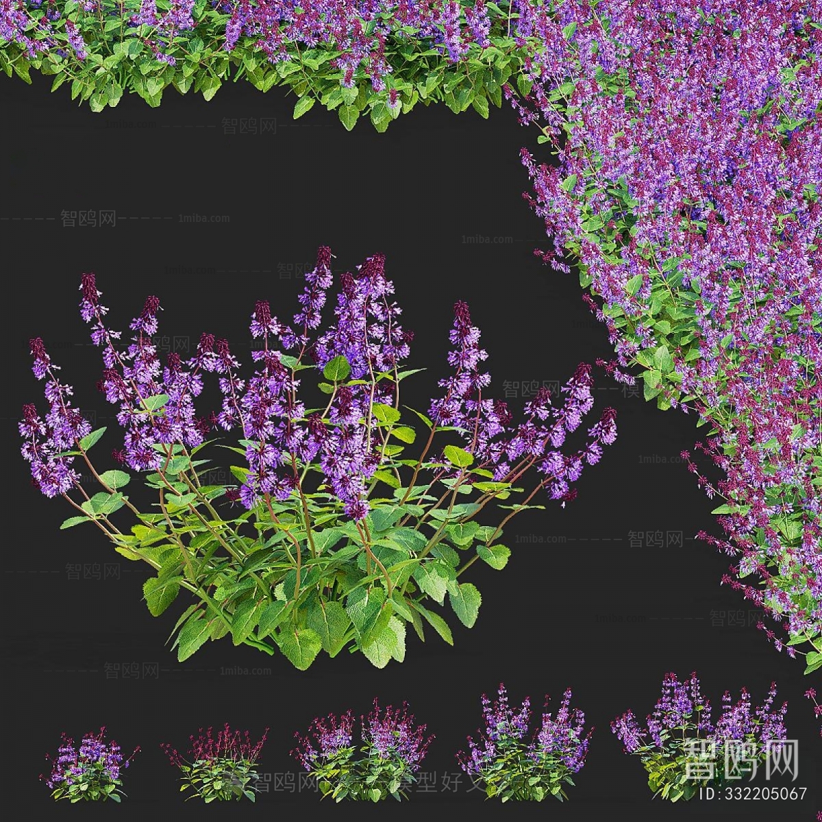 Modern Flowers And Grass