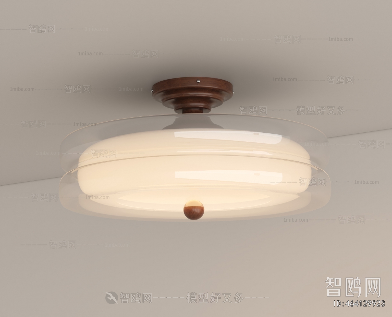 Modern Ceiling Ceiling Lamp
