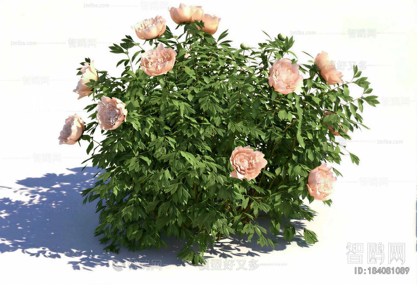 Modern Flowers And Grass