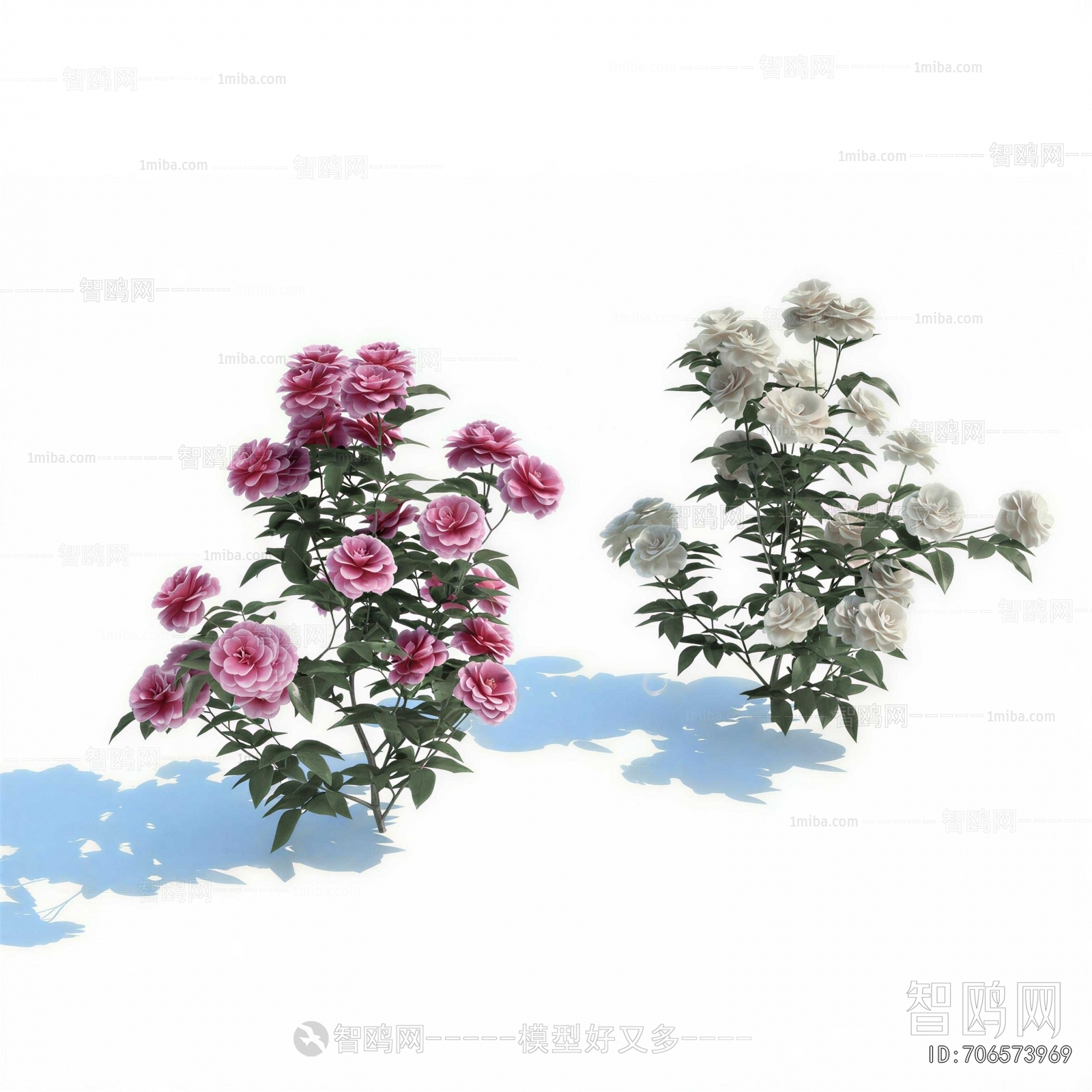 Modern Shrubbery