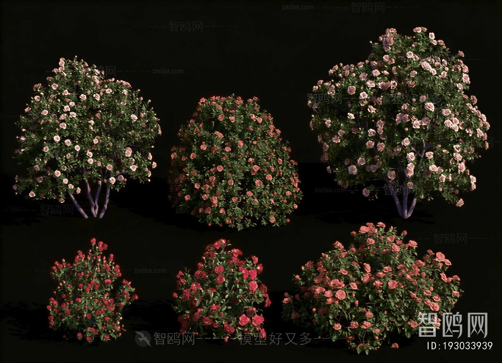 Modern Shrubbery