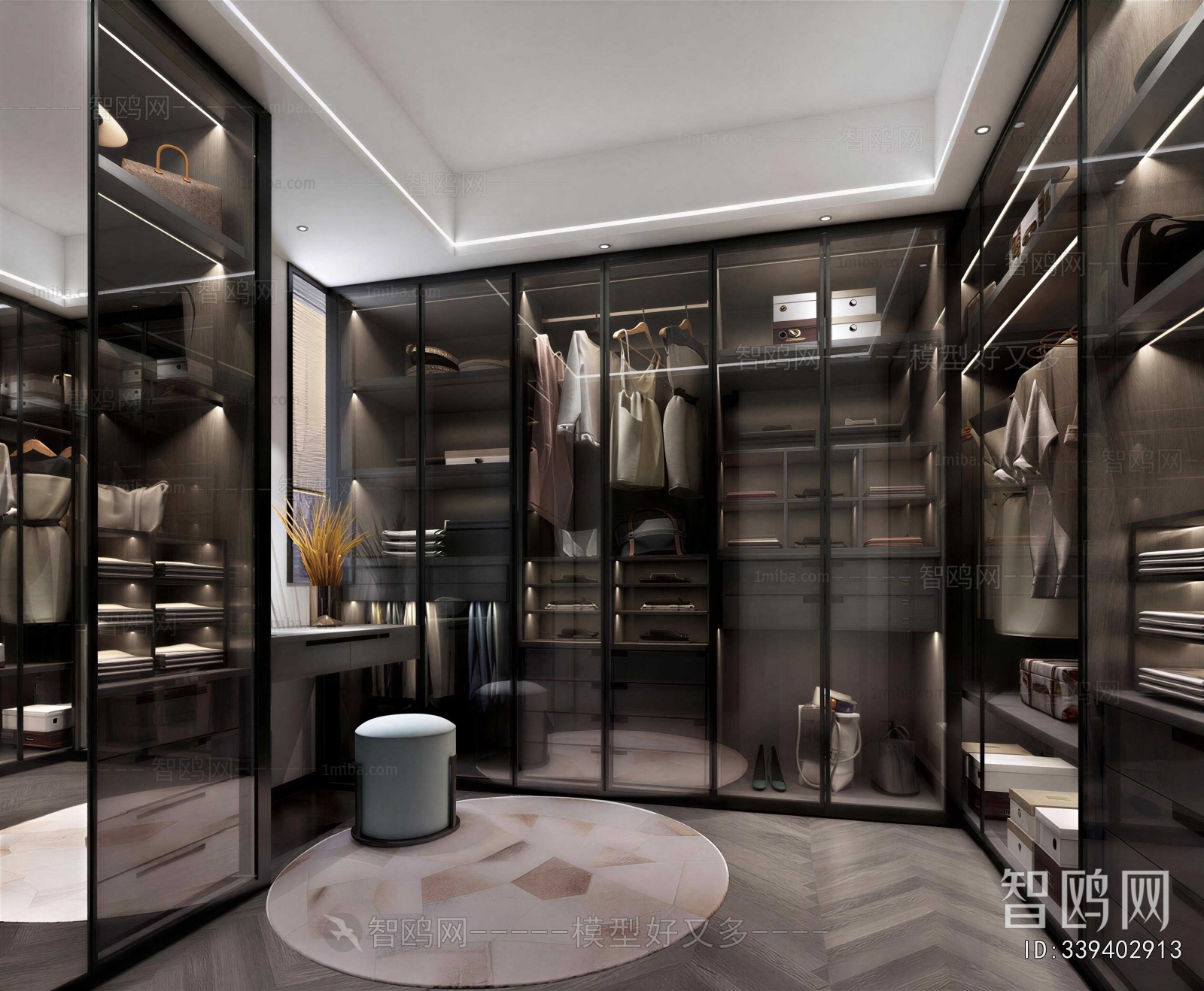 Modern Clothes Storage Area