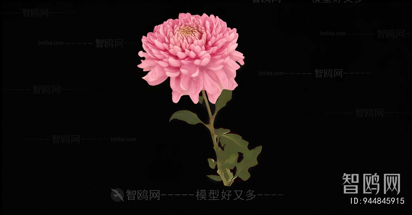 Modern Flowers And Grass