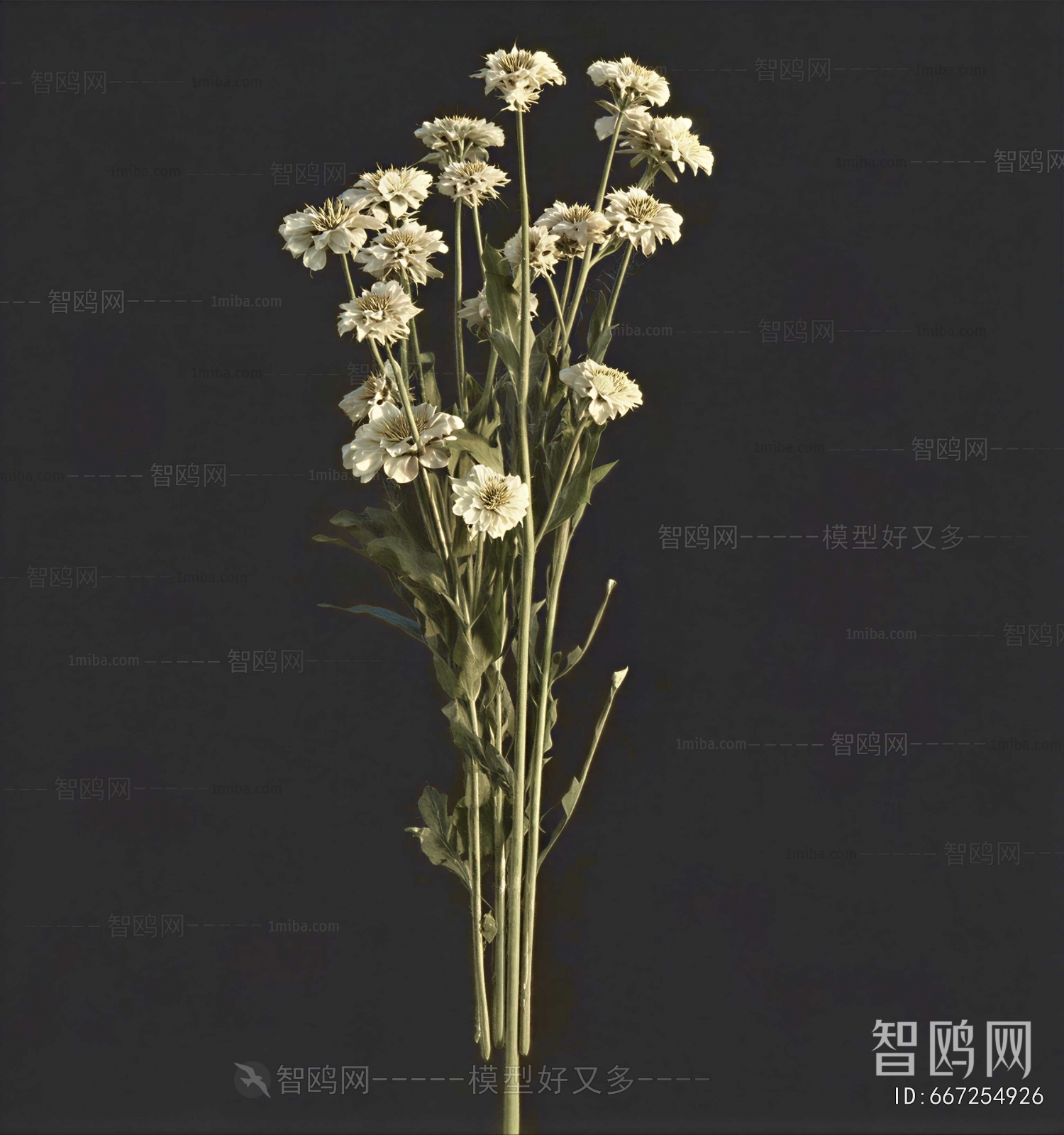 Modern Flowers And Grass
