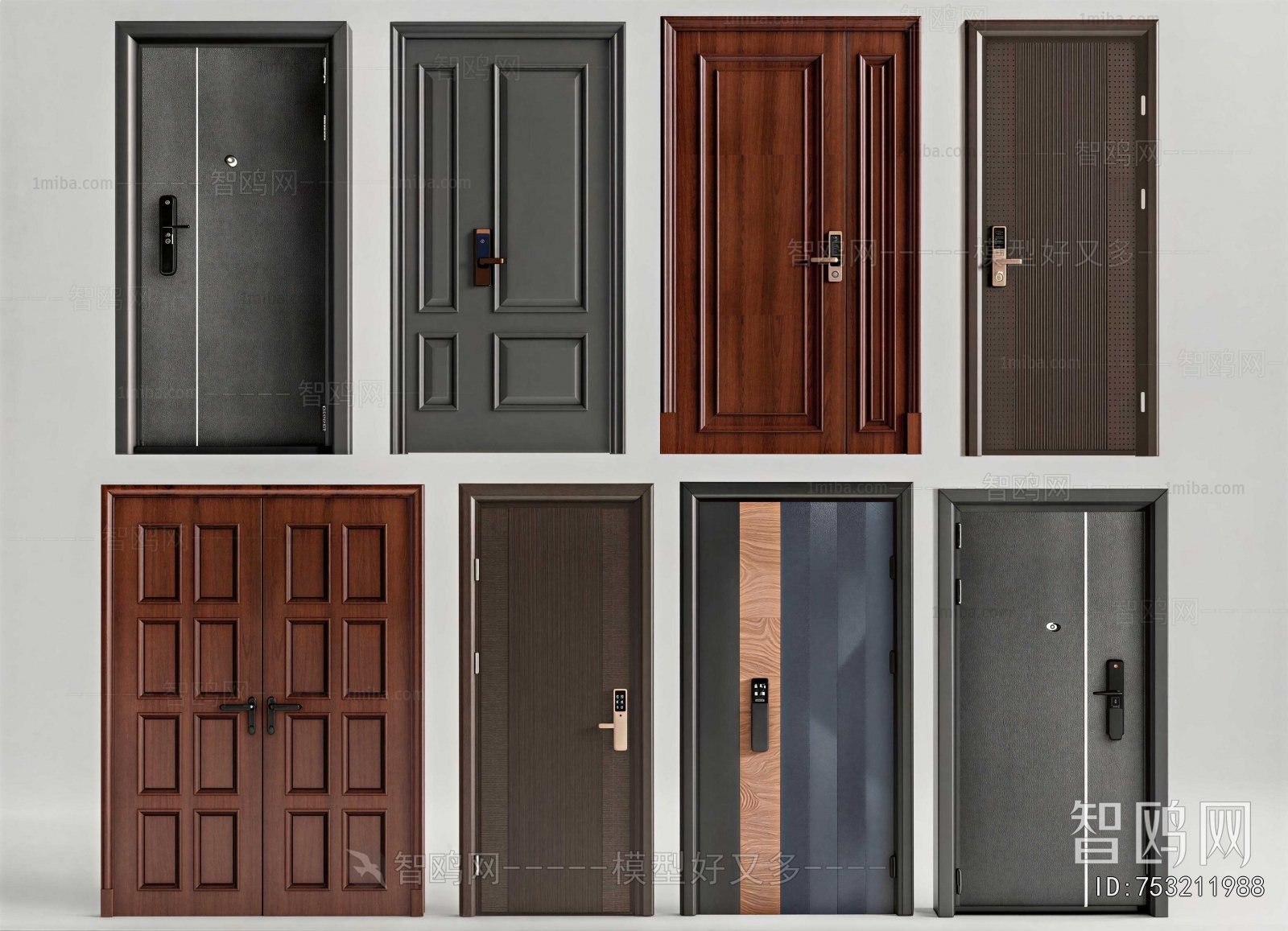 Modern Entrance Door