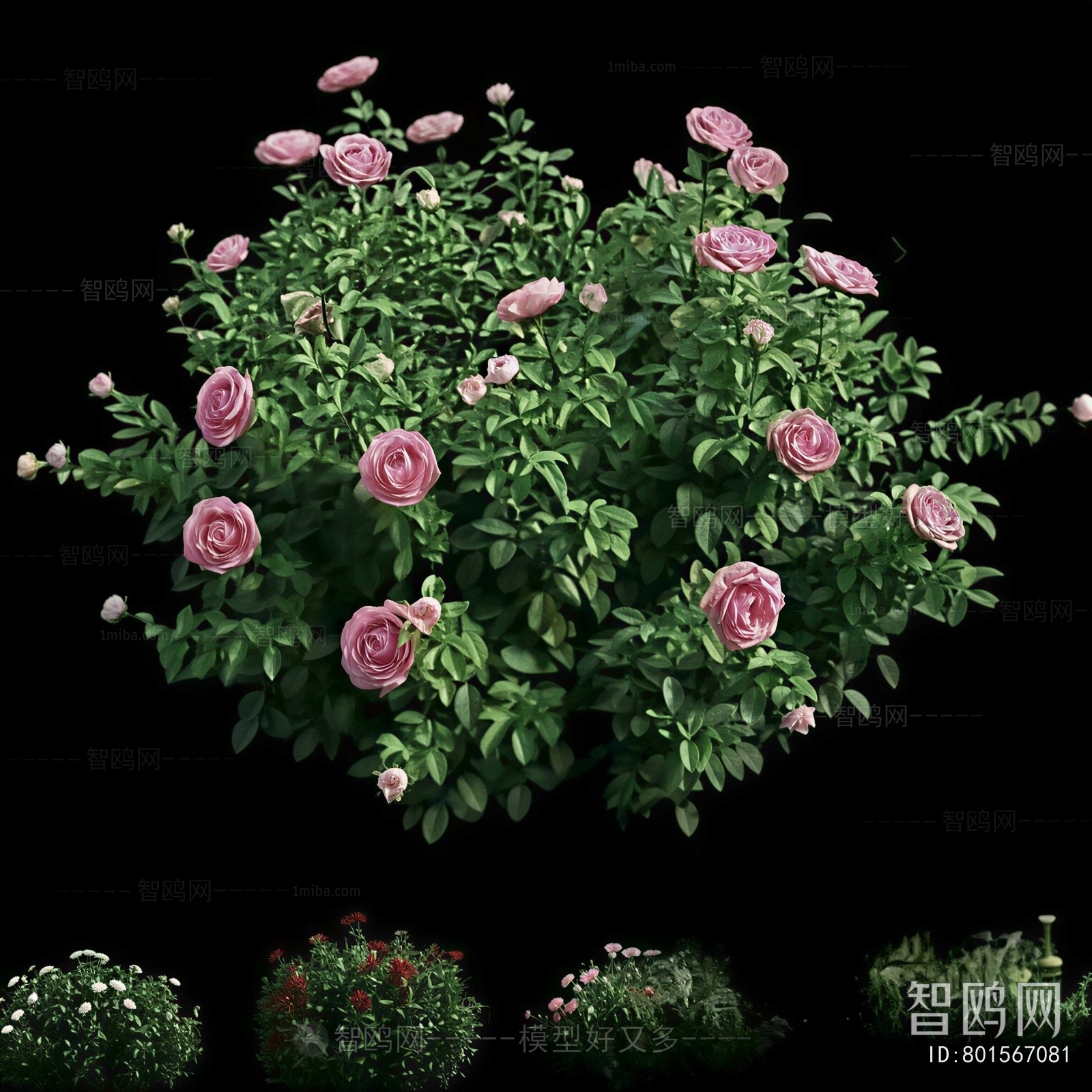 Modern Flowers And Grass